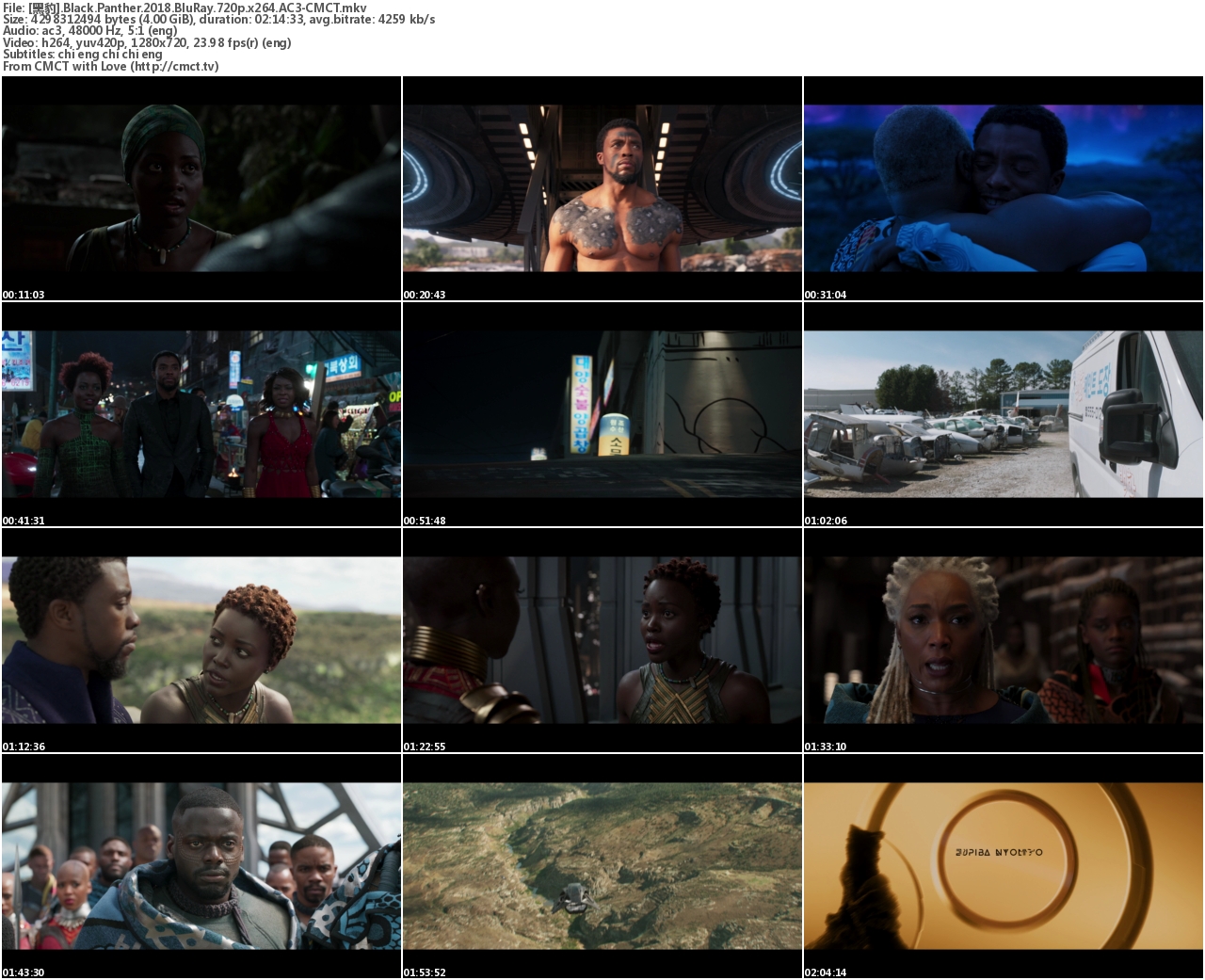 [黑豹].Black.Panther.2018.BluRay.720p.x264.AC3-CMCT[中英字幕/4.0G]-3.jpg