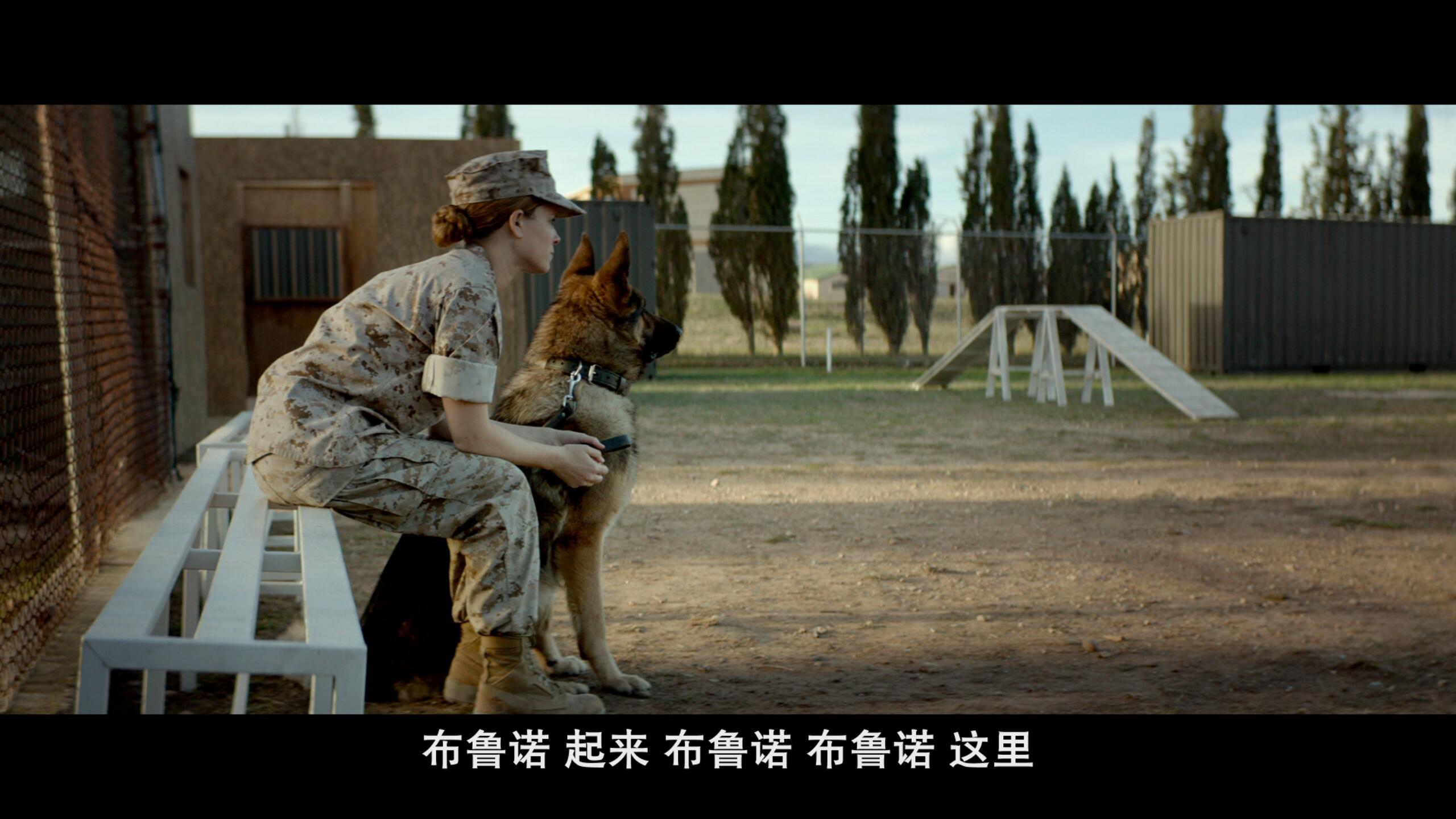 战犬瑞克斯[DIY原盘/国语次世代音轨/殊效四字幕].Megan.Leavey.2017.BluRay.1080p.AVC.DTS-HD.MA5.1-Byakuya@CHDBits 37.4GB-15.jpg