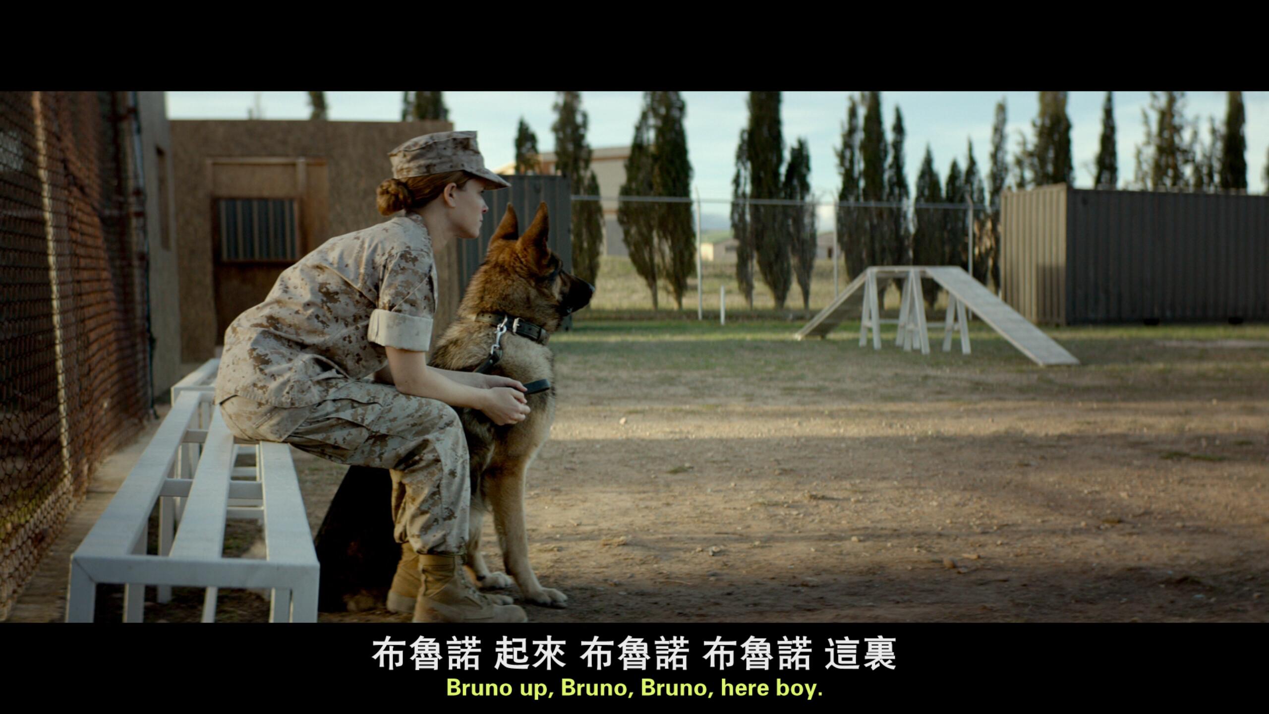 战犬瑞克斯[DIY原盘/国语次世代音轨/殊效四字幕].Megan.Leavey.2017.BluRay.1080p.AVC.DTS-HD.MA5.1-Byakuya@CHDBits 37.4GB-18.jpg