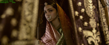 帕德玛瓦蒂王后[OCR中文英笔墨幕] Padmaavat 2018 720p BluRay AC3 x264-MTeam 8.73GB-7.jpg