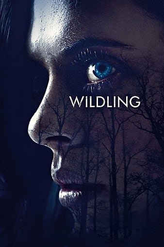 野生狼性 Wildling.2018.1080p.BluRay.AVC.DTS-HD.MA.5.1-FGT 28.44GB-1.jpg