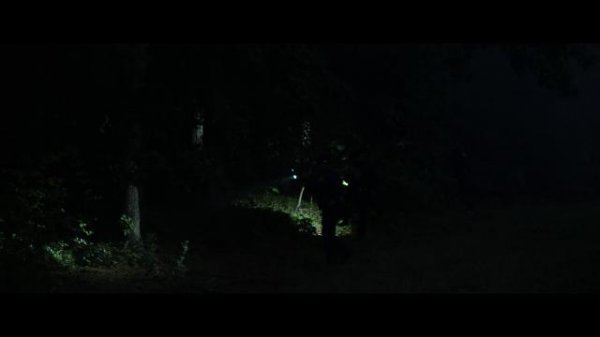 瘦长鬼影/瘦人 Slender.Man.2018.1080p.BluRay.AVC.DTS-HD.MA.5.1-FGT 28.83GB-4.png