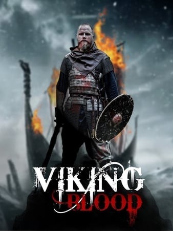 维京人的血 Viking.Blood.2019.1080p.WEB-DL.H264.AC3-EVO 3.08GB-1.jpg