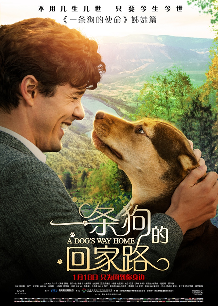 一条狗的回家路 A.Dogs.Way.Home.2019.1080p.BluRay.x264-DRONES  7.68GB-1.jpg