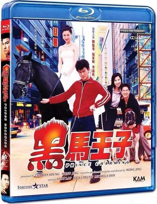 黑马王子 Prince.Charming.1999.CHINESE.1080p.BluRay.x264.DTS-FGT 9.51GB-1.jpg