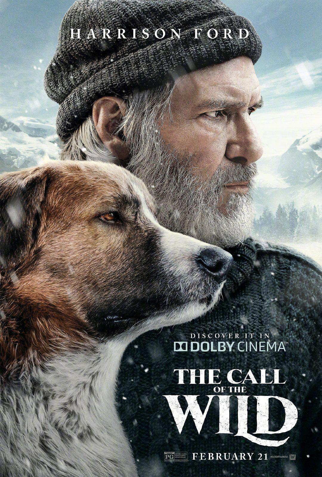 野性的呼唤/极地保护犬 The.Call.of.the.Wild.2020.1080p.BluRay.x264-YOL0W 11.56GB-1.png