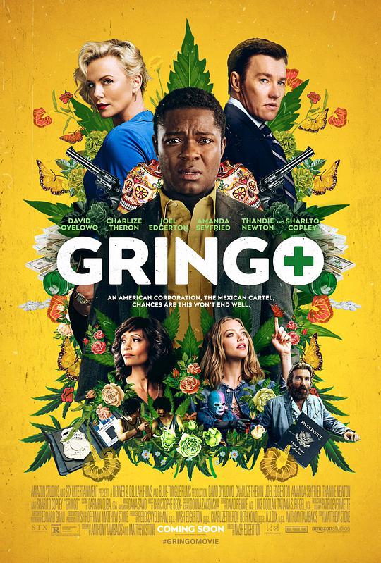 本国佬[简繁英字幕].Gringo.2018.BluRay.1080p.DTS-HD.MA5.1.x265.10bit-ALT 5.35GB-1.jpeg