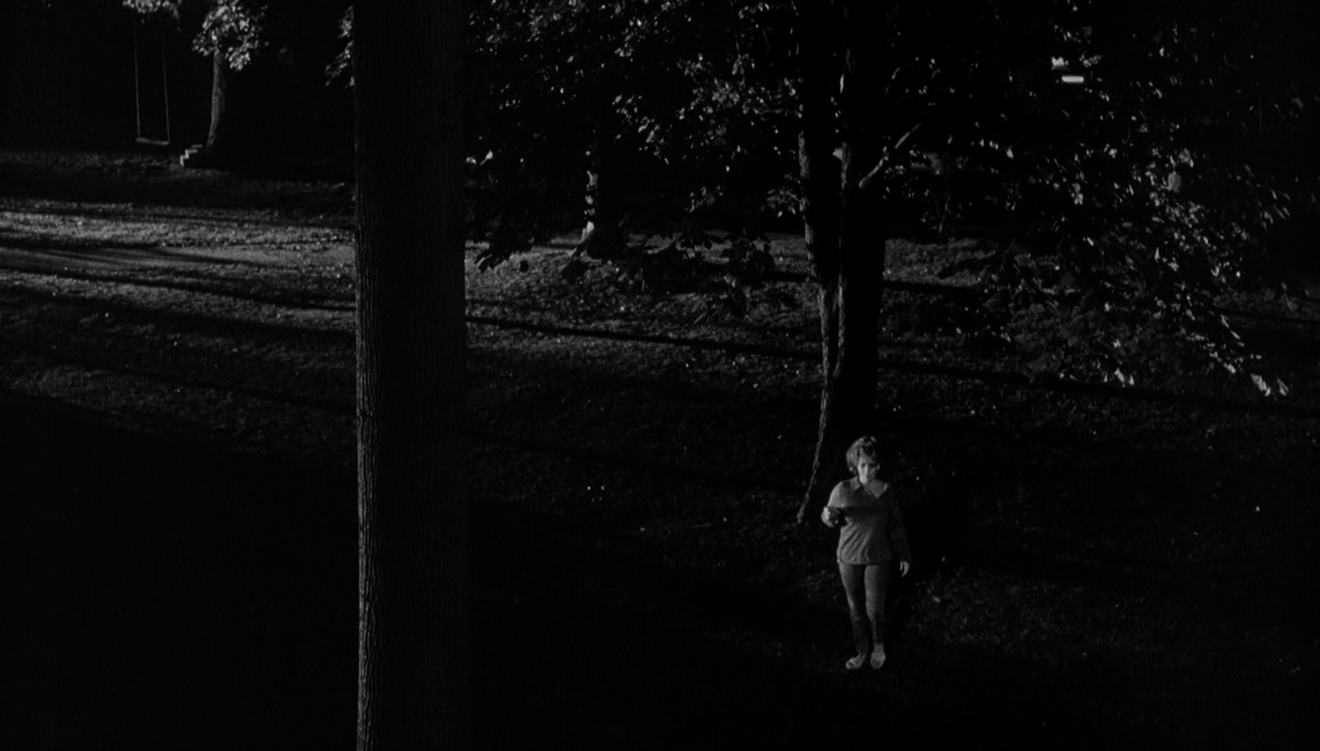 灵欲春宵[中笔墨幕].Who's.Afraid.of.Virginia.Woolf.1966.1080p.BluRay.DTS.x265-10bit-ENTHD 9.08GB-6.jpeg